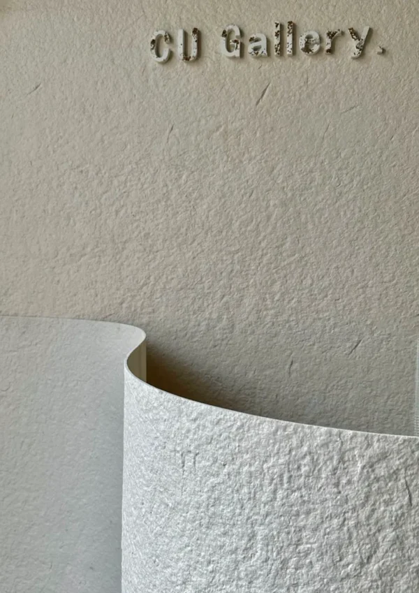 Recubrimiento para muro - Image 3